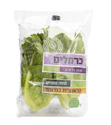 חסה גמביט Gambit Lettuce